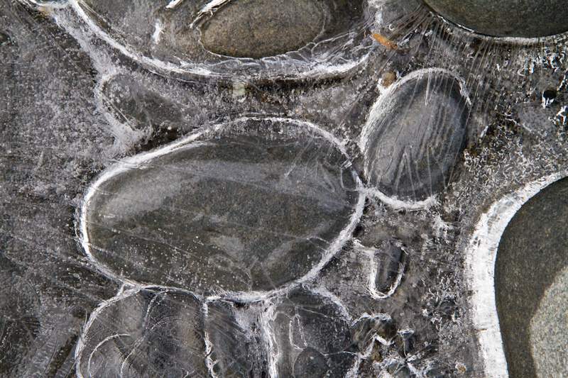 River Rocks Encased In Ice